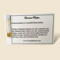Esoterica Parfum sample with cream background