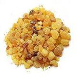 Rare Hydro Distilled Frankincense Essential Oil, Oman Hojary 2002, India Serrata 2001